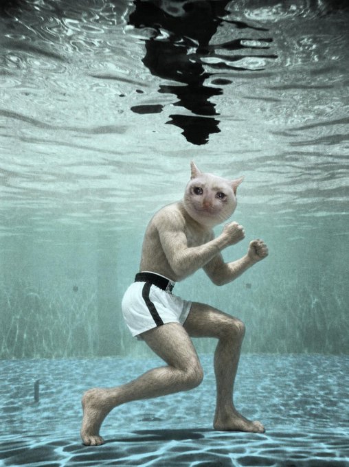 A surreal underwater image of a muscular humanoid figure wearing white shorts and a cat head, posed in a fighting stance on the pool floor.