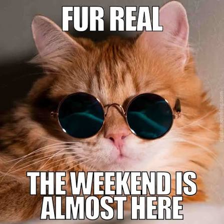 A meme featuring an orange cat wearing round sunglasses with the text 'FUR REAL THE WEEKEND IS ALMOST HERE' at the top and bottom.