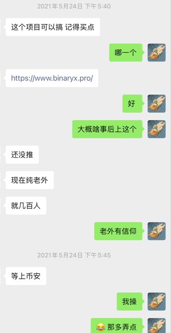 A Chinese-language WeChat conversation from May 24, 2021, shows two users discussing a crypto project at binaryx.pro, with one recommending to buy in before launch since only "a few hundred" mostly foreign believers are involved, and the other responding with excitement to "buy more." The exchange illustrates early community buzz about the BinaryX project during the period when the former JEX/Binance team was reportedly pivoting their operations.