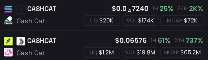 Two crypto tokens named 'CASHCAT' displayed, with the first showing $0.07240 (25% 1H, 2K% 24H) with $20K liquidity and $72K market cap, and the second showing $0.06576 (61% 1H, 737% 24H) with $1.2M liquidity and $65.2M market cap.