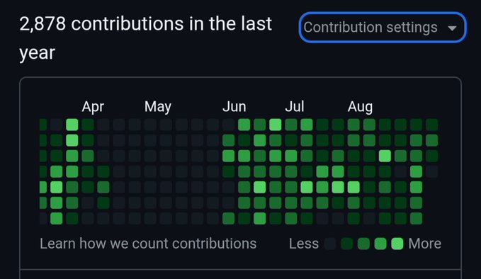 A GitHub-style contribution graph displays '2,878 contributions in the last year' showing activity levels from April through August with green squares of varying intensity.