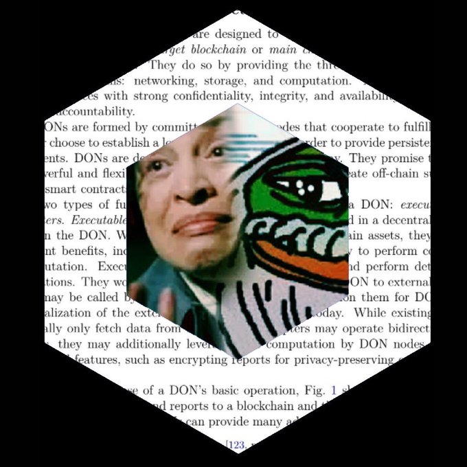 A hexagonal crop overlays a low-resolution image of a man's face and the Pepe the Frog meme onto an academic text about Decentralized Oracle Networks (DONs).