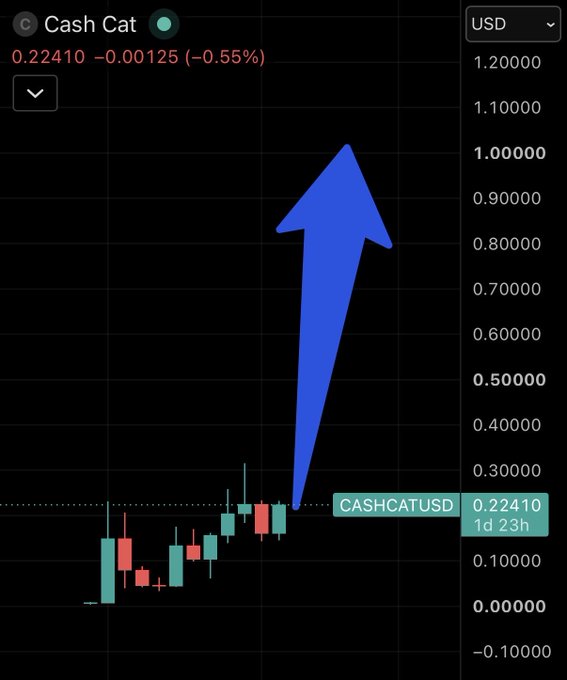 A candlestick chart shows Cash Cat (CASHCATUSD) trading at 0.22410 (-0.55%), with a large blue arrow drawn pointing upward from the current price level toward the $1.00 mark. The image illustrates the poster's humorous daily ritual of drawing bullish arrows on the chart until it reaches their target.
