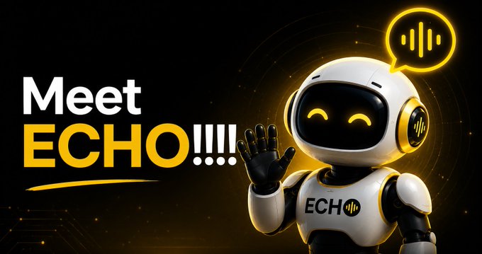 A promotional graphic featuring a white and black robot character labeled 'ECHO' with a speech bubble icon, alongside the text 'Meet ECHO!!!'