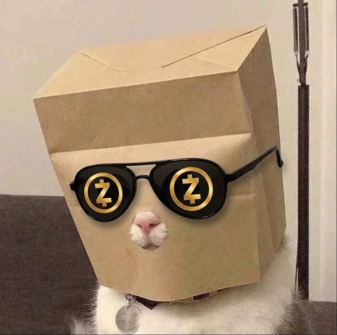 A humorous photo of a white cat wearing a brown paper bag over its head, accessorized with black sunglasses featuring Zcash (ZEC) cryptocurrency logos and a collar with a tag.