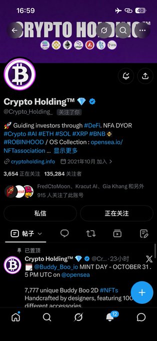 A mobile screenshot displays the X (Twitter) profile page for 'Crypto Holding™' (@Crypto_Holding_), highlighting their pinned post about the 'Buddy_Boo_io MINT DAY - OCTOBER 31' NFT collection on opensea.
