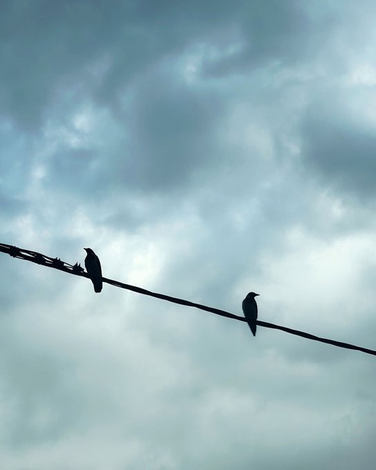 A silhouette of two birds perched on a power line against a cloudy blue-gray sky.