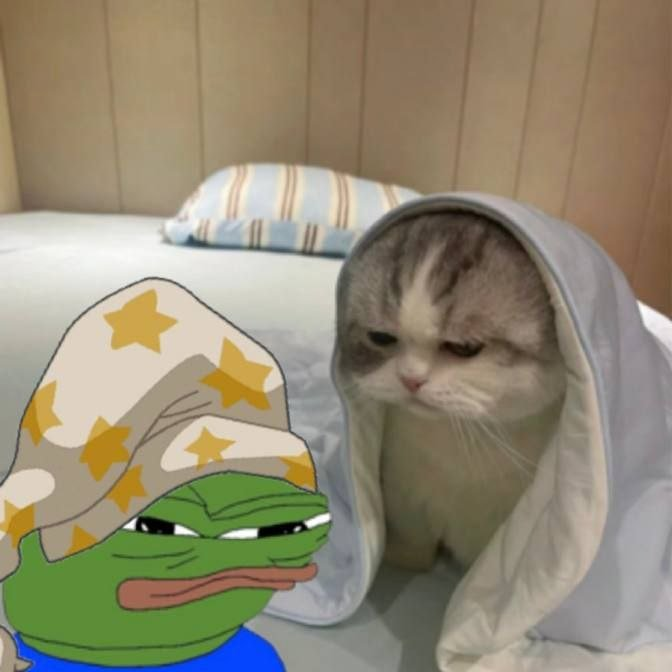A sad-looking cat wrapped in a white blanket sits on a bed next to a digitally added image of the Pepe the Frog character wearing a wizard hat with stars.