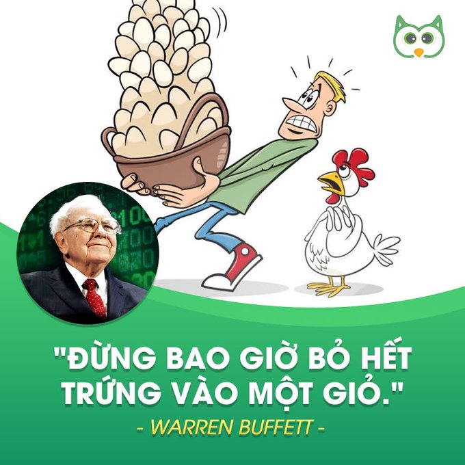 An infographic featuring a Warren Buffett quote in Vietnamese ('Đừng bao giờ bỏ hết trứng vào một giỏ' - Never put all your eggs in one basket) alongside a photo of Buffett and a cartoon of a man holding a basket of eggs.