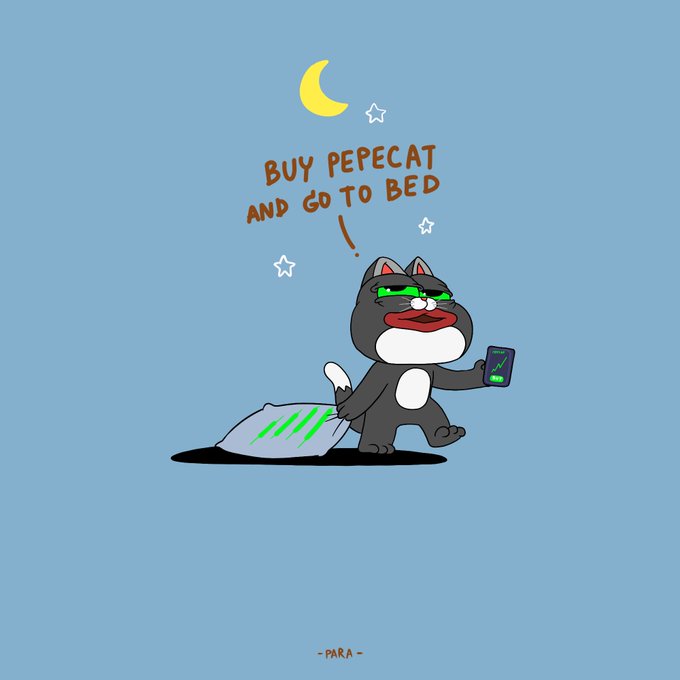 A cartoon illustration of a black and white cat holding a phone with a 'BUY PEPECAT AND GO TO BED' speech bubble, credited to '-PARA-' at the bottom.