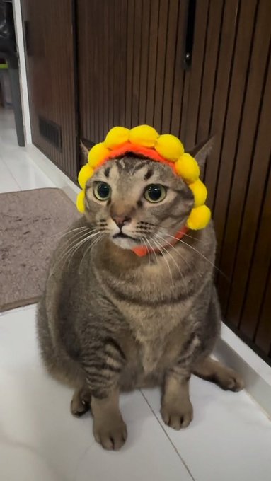 A tabby cat sitting on a tiled floor wearing a yellow sunflower-shaped headpiece, with wooden cabinets visible in the background.