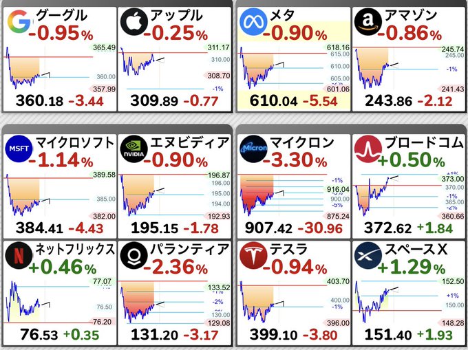 The user wants a concise caption for the provided image.

**1. Analyze the image:**
- The image is a grid of stock market data, likely from a Japanese financial app or website (given the Japanese text and yen currency symbols).
- It shows 12 different stocks/indices.
- Each cell contains:
    - A logo (Google, Apple, Meta, Amazon, MSFT, NVIDIA, Micron, Broadcom, Netflix, Palantir, Tesla, SpaceX).
    - The stock name in Japanese (e.g., グーグル, アップル, メタ).
    - A percentage change (e.g., -0.95%, -0.25%).
    - A line chart showing recent price movement.
    - Current price (e.g., 360.18).
    - Change in price (e.g., -3.44).
    - A larger number at the top right (likely previous close or