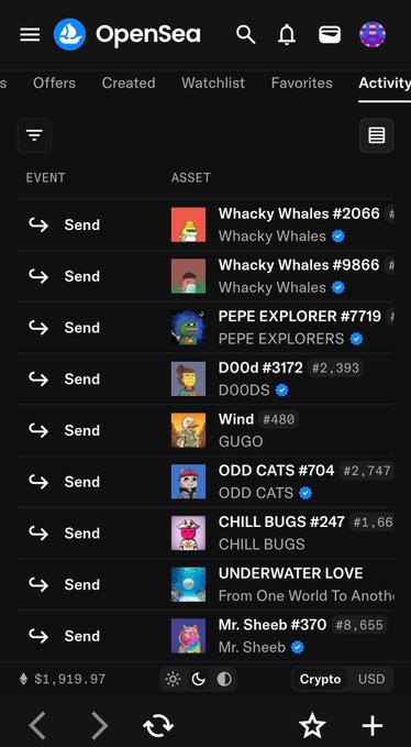 The OpenSea Activity tab displaying recent NFT transfers including Whacky Whales #2066, Whacky Whales #9866, PEPE EXPLORER #7719, DOOD #3172, Wind #480, ODD CATS #704, CHILL BUGS #247, UNDERWATER LOVE, and Mr. Sheeb #370.