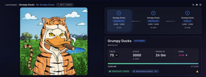 A 'Grumpy Ducks' NFT launchpad page on the marketplace shows a cartoon tiger smoking a cigar, with a price of '75' and 3,000 stock items in the whitelist.