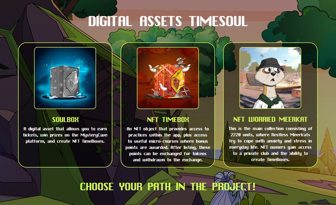The image displays "DIGITAL ASSETS TIMESOUL" featuring three NFT options—a Soulbox for earning tickets and prizes, an NFT Timebox providing micro-course bonuses, and an NFT Worried Meerkat collection of 2,228 units offering stress-relief perks—encouraging users to "CHOOSE YOUR PATH IN THE PROJECT!" This visually represents the gamified reward system the post describes, where Timesoul uses collectible digital assets to motivate users in building wellness habits like meditation through an engaging Web3 experience.