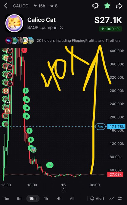 A cryptocurrency price chart for "Calico Cat" ($27.1K, up 1000.1%) showing a dramatic price crash and recovery with the word "WOT" drawn in yellow.