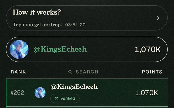 A screenshot showing user @KingsEcheeh ranked #252 with 1,070K points on a leaderboard where "Top 1000 get airdrop" and the post mentions finishing at rank 252 after bot filtering.