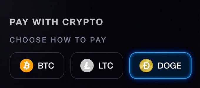 A sleek crypto payment interface displays "PAY WITH CRYPTO - CHOOSE HOW TO PAY" with BTC, LTC, and DOGE options, with DOGE highlighted and selected in a glowing blue outline, visually reinforcing the post's emphasis on choosing Dogecoin for fast, easy, and affordable transactions.