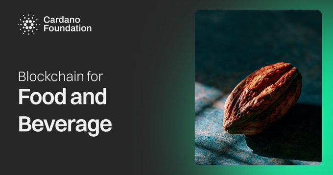 A Cardano Foundation promotional graphic featuring their logo and the text "Blockchain for Food and Beverage," paired with a close-up image of a cocoa bean, illustrating how blockchain technology can be applied to track provenance and compliance in food supply chains.
