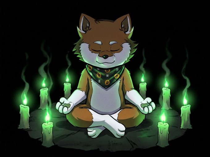 A digital illustration of a cartoon fox sitting in a meditative lotus position surrounded by glowing green candles, wearing a patterned bandana.
