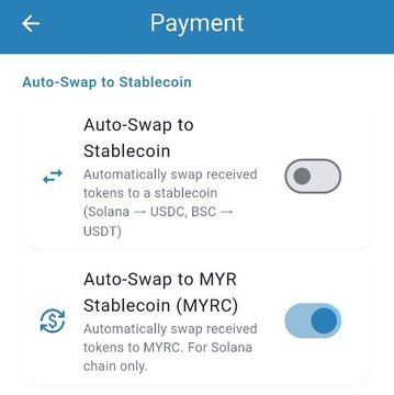 A Payment settings screen showing Auto-Swap to Stablecoin options, with the first toggle (Solana→USDC) disabled and the Auto-Swap to MYR Stablecoin toggle enabled.