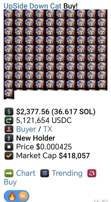 The image shows a screenshot from an app or platform, which appears to be related to cryptocurrency transactions or buying and selling cat pictures. The focus should be on the relevant details of the image that relate to the content displayed in the text above it.