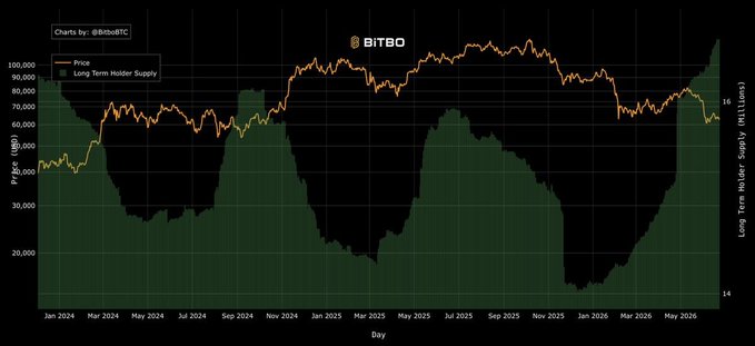 !" BREAKING!: LONG-TERM HOLDERS ARE accumulating Bitcoins like crazy!". This caption is relevant as it connects with the content of the image, which has a time series graph with long-term Bitcoin holders as its focus. The image seems to show a rise in Bitcoin value over months and years, indicating that these long-term holders have been accumulating Bitcoin for an extended period.