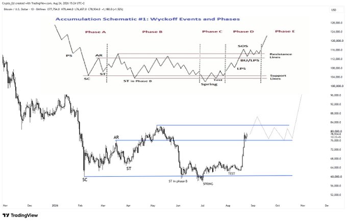 A TradingView chart of Bitcoin (BTC/USD) on the daily timeframe displays a Wyckoff Accumulation Schematic with labeled Phases A–E, including key events like PS, AR, SC, ST, Spring, Test, SOS, and LPS, alongside support and resistance lines. The price action shows BTC forming a potential accumulation structure between roughly $60,000 and $80,000 since early 2024, mirroring the schematic and supporting the poster's view of a possible bottom forming.

Key visible text: "Accumulation Schematic #1: Wyckoff Events and Phases," ticker "BTC/USD," price levels around $78,914.20, date range Nov 2023–Nov 2024, and Wyckoff event labels (PS, AR, SC, ST, SOS, BU/JPS, LPS).