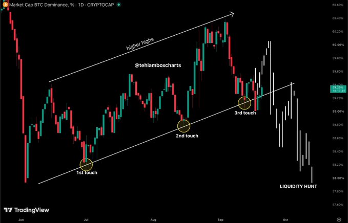 The image shows a daily Bitcoin Dominance (BTC.D) candlestick chart from CryptoCap on TradingView, with an ascending channel drawn from "higher highs" and a rising support trendline marked with 1st, 2nd, and 3rd touch points before breaking down in what the chart labels as a "LIQUIDITY HUNT," illustrating the post's observation that BTC.D has finally broken its upward trendline structure after multiple tests.
