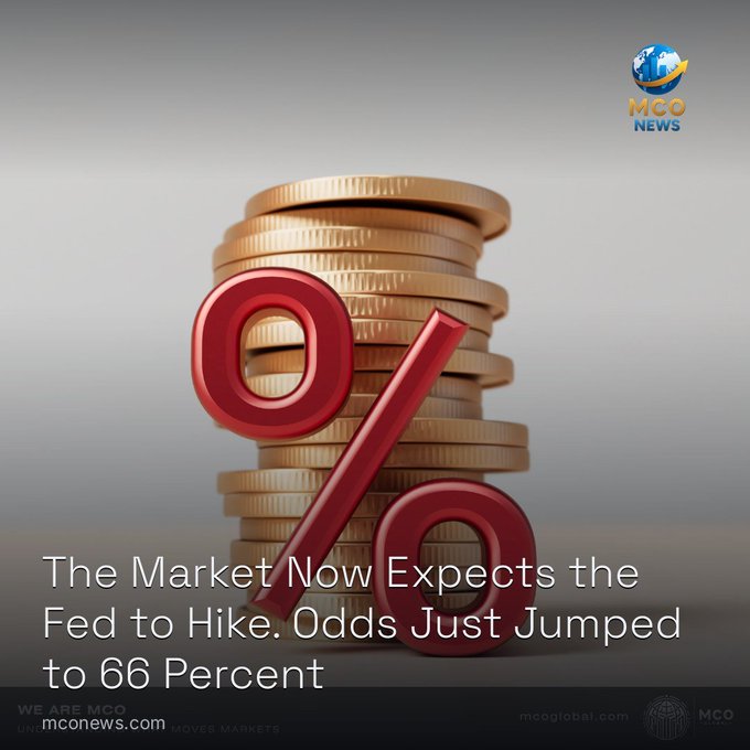 A financial news graphic from 'MCO NEWS' showing a stack of gold coins with a large red percent sign, headlined 'The Market Now Expects the Fed to Hike. Odds Just Jumped to 66 Percent'.
