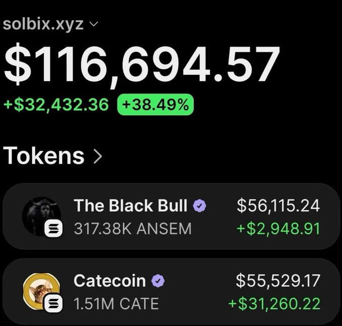 A portfolio screen showing a total value of $116,694.57 with a 38.49% gain, listing tokens including 'The Black Bull' (ANSEM) at $56,115.24 and 'Catecoin' (CATE) at $55,529.17.