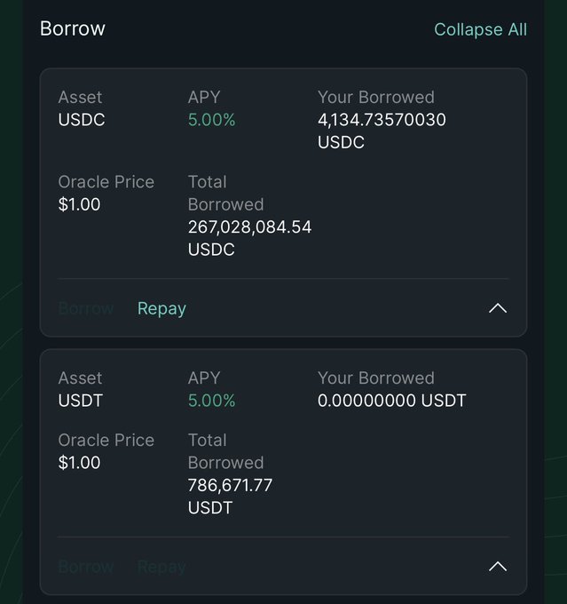 A digital lending dashboard showing a 'Borrow' section with details for USDC and USDT, both with a 5.00% APY and a $1.00 Oracle Price, alongside total borrowed amounts.