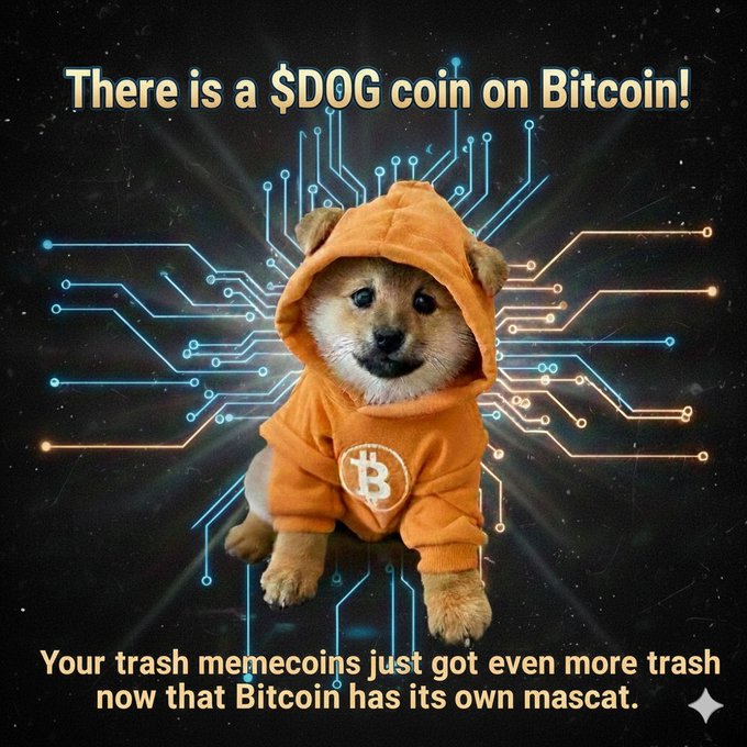 A Shiba Inu puppy wearing an orange Bitcoin-logo hoodie with the caption "There is a $DOG coin on Bitcoin! Your trash memecoins just got even more trash now that Bitcoin has its own mascot."