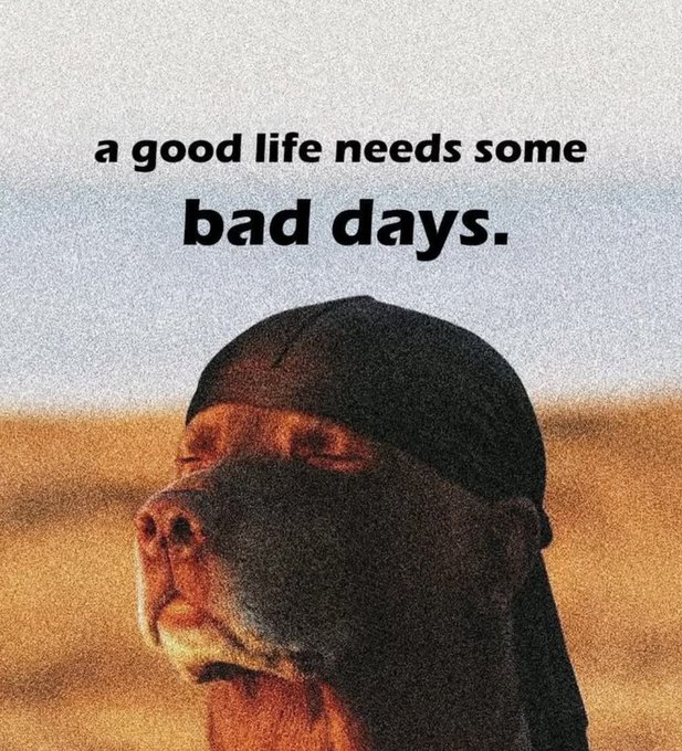 A chimpanzee with its eyes closed, looking contemplative, with the text "a good life needs some bad days." overlaid on a desert background. The image's stoic, meditative ape paired with the bittersweet quote seems to ironically comment on the post's optimistic tone about autonomous infrastructure, suggesting even good technological progress requires enduring some difficult days.