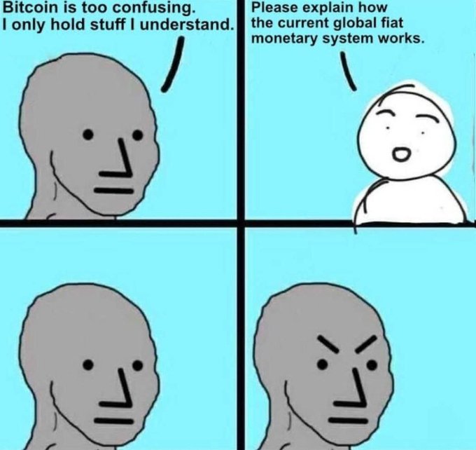A four-panel comic featuring gray and white characters discussing Bitcoin and the global fiat monetary system, with the gray character becoming increasingly frustrated when asked to explain the latter.