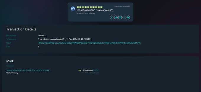 A cryptocurrency transaction details page showing a 250,000,000 tUSDC (240,949,500 USD) mint by USDC Treasury on the Solana blockchain, timestamped 11 Sep 2026 10:12:21 UTC.