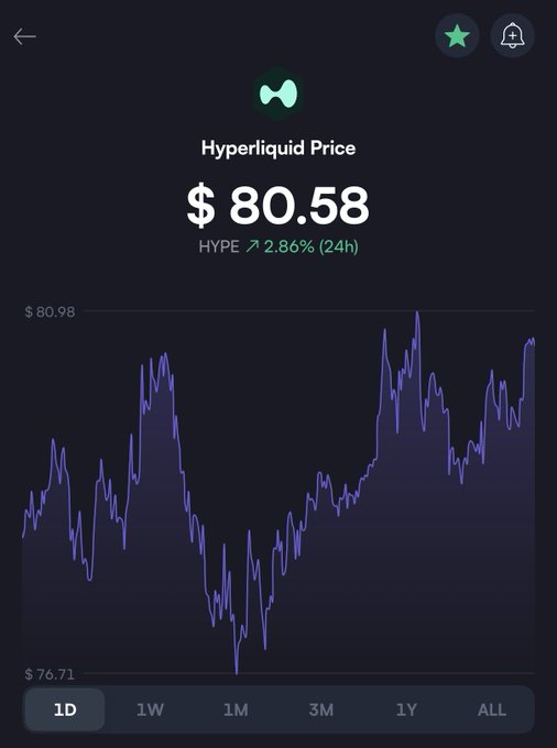 A crypto price tracker screen showing the Hyperliquid Price (HYPE) at $80.58, up 2.86% in 24h, with a purple line chart of price fluctuations.