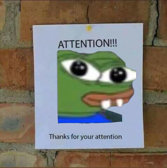 A printed sign on a brick wall reading 'ATTENTION!!!' above a sad Pepe the Frog meme face, with 'Thanks for your attention' printed below.
