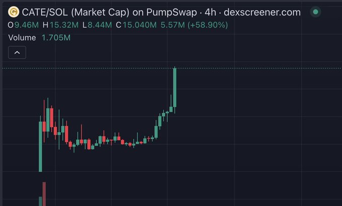 A Dexscreener chart of $CATE/SOL on Pumpswap shows a dramatic recent spike, with the market cap surging from a low of $8.44M to a high of $15.32M (currently $15.04M, +58.90%) on 1.705M volume—matching the poster's "degen nirvana" caption by capturing the euphoric green candle breakout on the 4-hour timeframe.