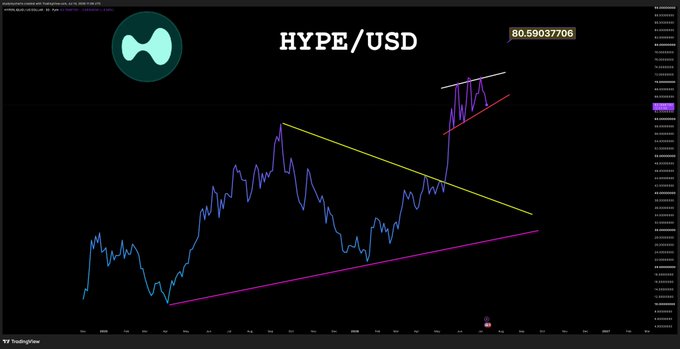 A HYPE/USD chart displays a bullish flag pattern, with the current price sitting at 80.59037706, currently testing the red support line.