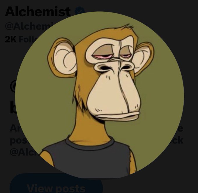 Profile picture of a bored-looking cartoon monkey NFT from the 'Alchemist' collection with 2K followers.