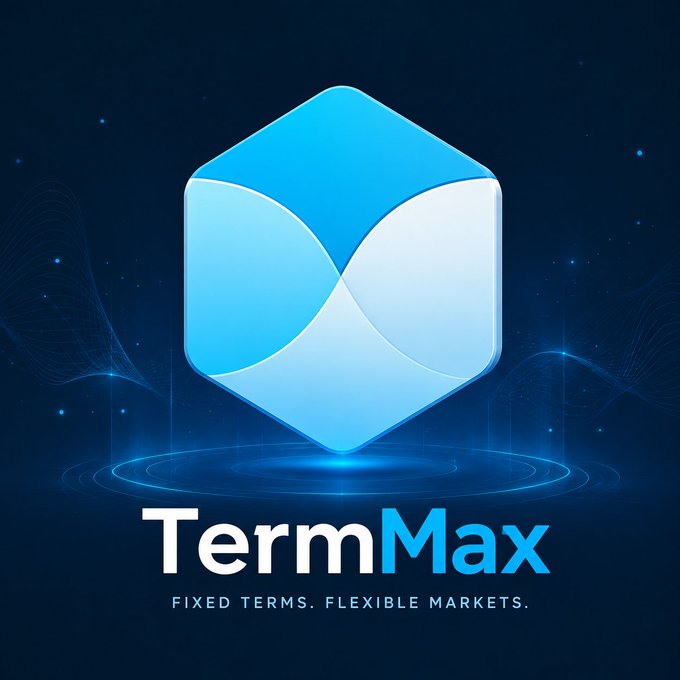 A blue hexagonal logo with an 'X' pattern over a starry background, labeled "TermMax - Fixed Terms. Flexible Markets."