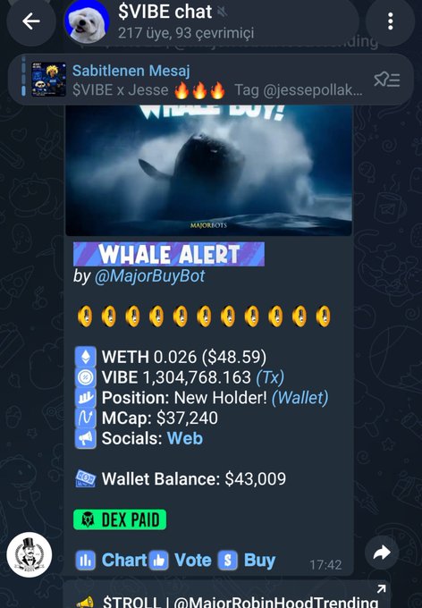 A Telegram chat in the "$VIBE chat" group displays a pinned whale alert message from @MajorBuyBot reporting a significant transaction of 1,304,768.163 VIBE tokens (worth $43,009) by a new holder, aligning with the post's claim that $VIBE has caught the attention of whales early on.