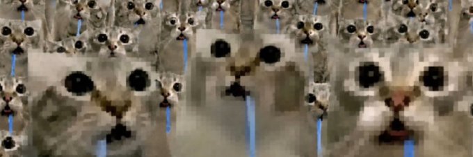 Three heavily pixelated, close-up images of cats with wide, staring eyes are arranged in a triptych format with a blue liquid dripping down the middle. This fits the "$drooling" Solana token banner, as the cats appear to be staring in a drooling, mesmerized state, matching the meme's absurd and humorous tone.