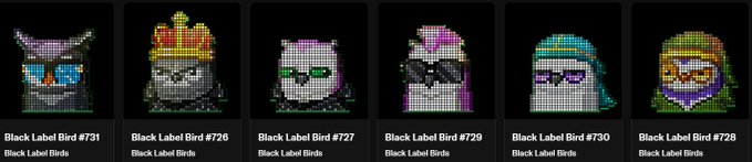 A row of six pixel-art character cards labeled 'Black Label Birds' with numbers #727, #729, #730, #728, #731, and #726, featuring colorful bird-like avatars.