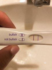 A hand holds a white pregnancy test displaying "not bullish" alongside the standard result window, humorously framing a negative outcome as a stock market sentiment. The "results are in" caption reinforces the joke that the bearish reading has been confirmed.