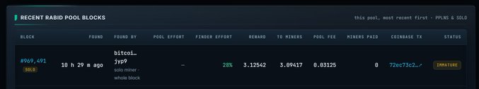 A 'RECENT RABBIT POOL BLOCKS' table showing block #969,491 found 10h 29m ago, with miner 'bitcoi...jyp9' (solo miner, whole block), pool 28%, fee 3.12542, reward 3.09447, and a Coinbase TX status of 'IMMATURE'.