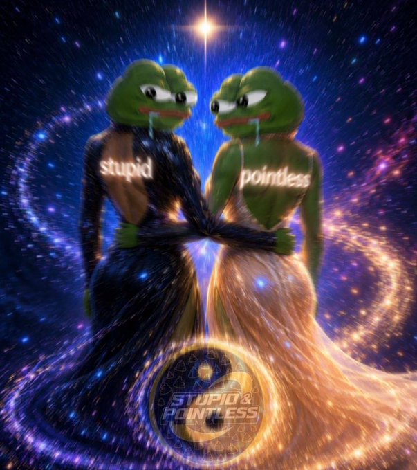 Two Pepe frogs in elegant gowns—one labeled "stupid" and the other "pointless"—embrace against a cosmic, swirling background, with a "STUPID & POINTLESS" token logo at their feet, visually echoing the post's self-deprecating humor about embracing the absurdity of crypto trading under the ticker $S &P.