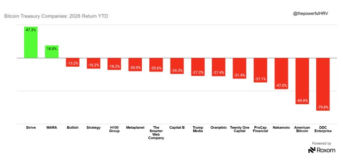 The image shows a bar chart titled "Bitcoin Treasury Companies: 2026 Return YTD," displaying year-to-date returns for 16 companies, with Strive ($ASST) and MARA leading at +47.3% and +38.8% respectively (the only gainers), while DDC Enterprise (-79.8%) and American Bitcoin (-69.8%) are the worst performers. This visual supports the post's claim that Strive is the outlier among Bitcoin treasury companies, as it significantly outperforms the majority of peers that are posting double-digit losses.