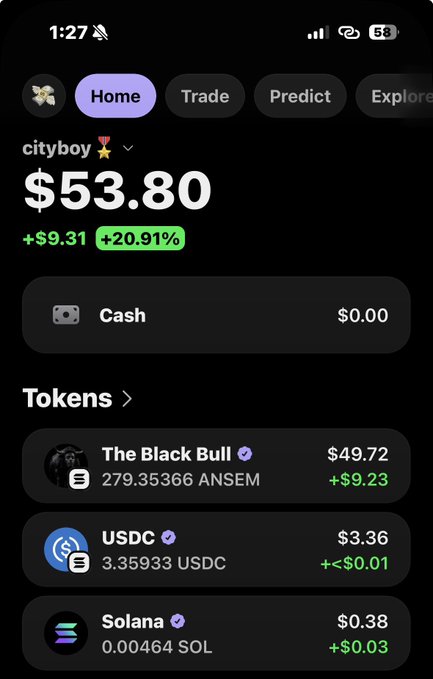 A mobile wallet app screenshot showing a portfolio for 'cityboy' valued at $53.80, up +$9.31 (+20.91%), with tokens including 'The Black Bull' ($49.72, +$9.23) holding 279.35366 ANSEM, plus USDC and Solana holdings.